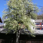 公寓 Appartements-christian *